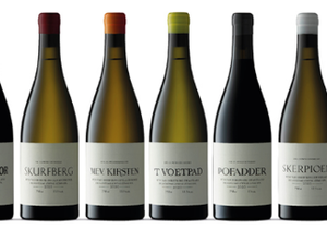 Now in Stock: Sadie!