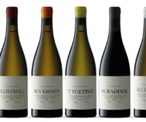 Now in Stock: Sadie!