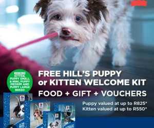 Hill’s Pet Nutrition: Free Gift!