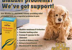Eco-Vet Eco-Bladder for Pet Bladder Problems
