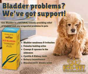 Eco-Vet Eco-Bladder for Pet Bladder Problems