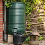 Water Storage Solutions - Watering Plants with Rainwater