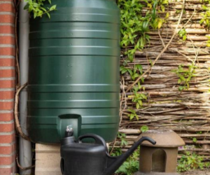 Water Storage Solutions - Watering Plants with Rainwater