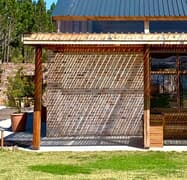 Design A Home With Filtered Light