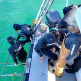 Shark Cage Diving - White Shark Projects - Xplorio™ Gansbaai