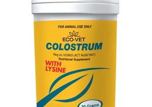 Ecovet Colostrum Powder for Dogs and Cats