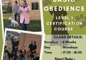 Basic Obedience Dog Training Course - Level 1