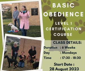 Basic Obedience Dog Training Course - Level 1