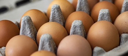 free_range_eggs_1692104827