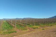 365081464_158317973950468_3233659996460749651_n_1692107865