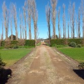 Wine Routes - Whale Coast Shuttles - Xplorio™ Gansbaai