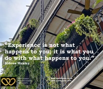 Learn from Your Experiences
