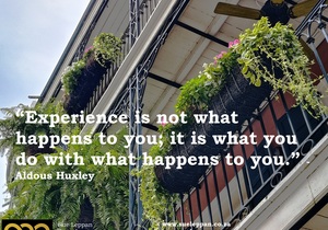 Learn from Your Experiences