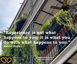 Learn from Your Experiences