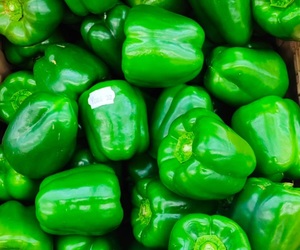 Fruit and Vegetable Section