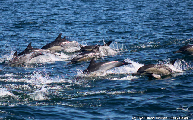 WhatsApp_Image_2023_08_18_at_15.28.35_1692365727