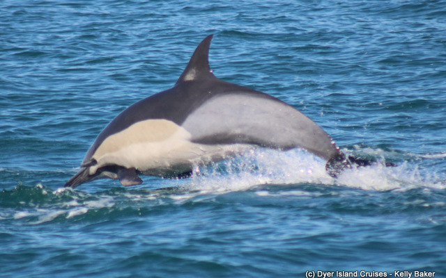 WhatsApp_Image_2023_08_18_at_15.28.36_1__1692365727