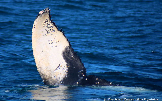 WhatsApp_Image_2023_08_18_at_15.28.36_2__1692365728