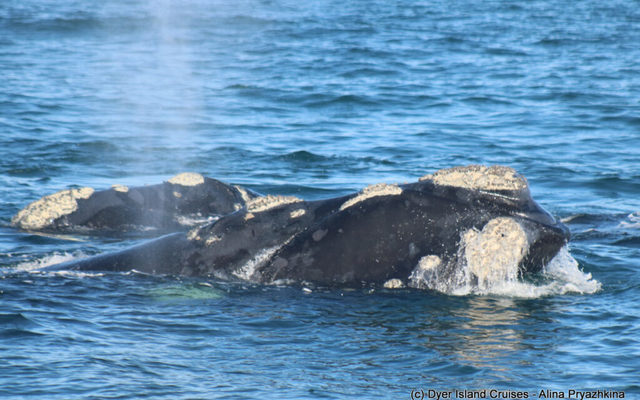 WhatsApp_Image_2023_08_18_at_15.28.37_1692365729