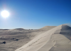 8. Golden Dunes of Fun