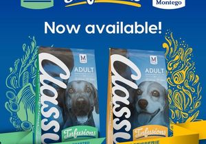 Introducing Montego Classic Infusions