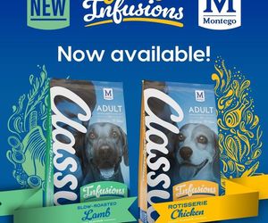 Introducing Montego Classic Infusions