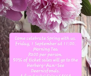 1 September 2023: Morning Tea