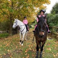 Horse Riding - Solitaire Equestrian Academy - Xplorio™ Hermanus