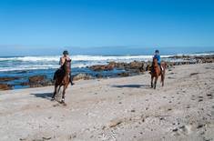 293708459_166642609197163_5450519240357569661_n_1692688514