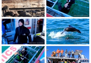 Daily Blog: 20 August 2023 | Shark Cage Diving in South Africa