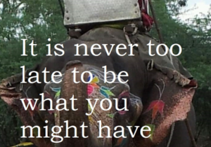 Age Is Just A Number