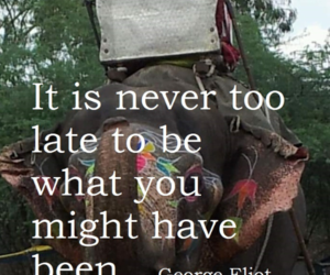 Age Is Just A Number