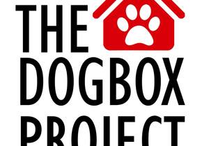 2 September 2023: The Dogbox Project in Hermanus