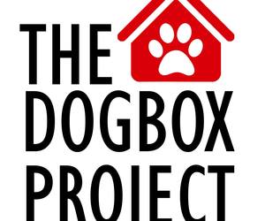 2 September 2023: The Dogbox Project in Hermanus