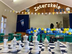 Gansies skaakspanne ken hul skuiwe