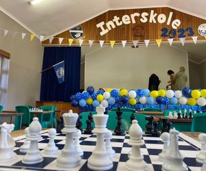 Gansies skaakspanne ken hul skuiwe