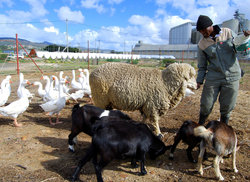 4. Farming Community Events