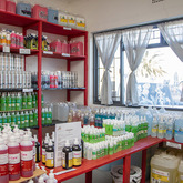 Cleaning Products - Dolphin Laundry and Eco Clean & Care - Xplorio™ Gansbaai
