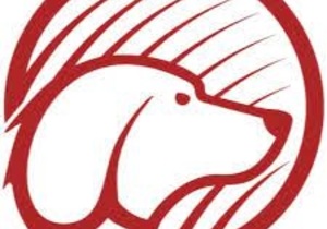 Nutribyte Premium Affordable Pet Food