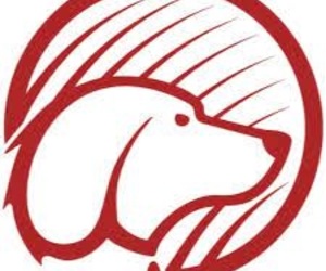 Nutribyte Premium Affordable Pet Food