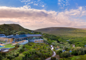 Job Vacancy at Grootbos: Junior Office Administrator