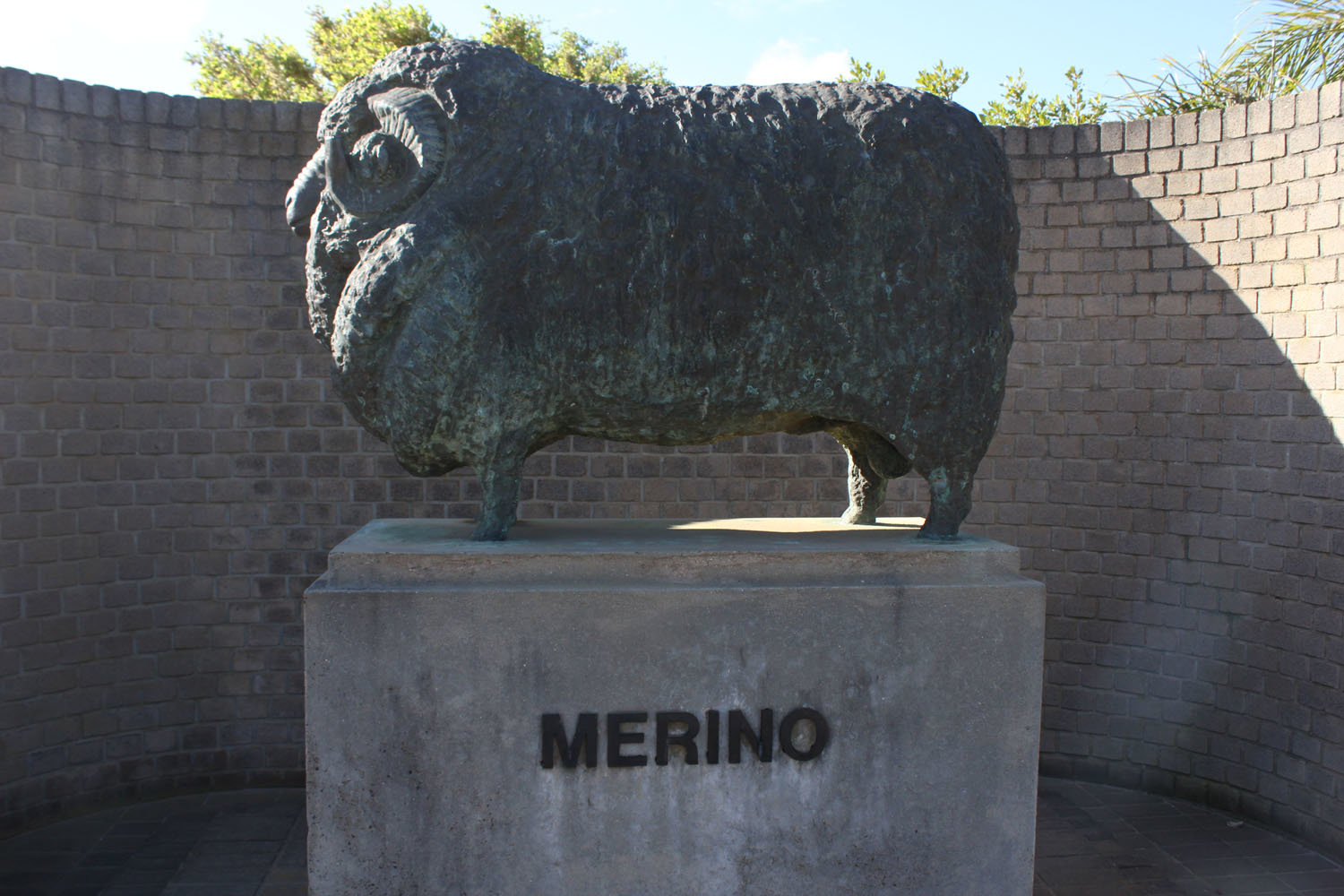 Bredasdorp-history-image-1-merino-sheep-farming