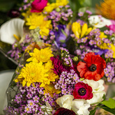 Flowers - Walker Bay Nursery - Xplorio™ Hermanus