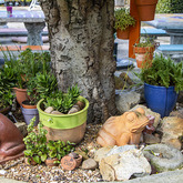 Garden Decor - Walker Bay Nursery - Xplorio™ Hermanus