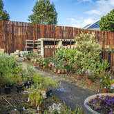 Trees - Walker Bay Nursery - Xplorio™ Hermanus