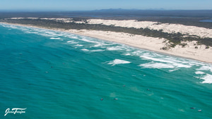 De Hoop Boasts Main Concentration of Whales in Recent Count