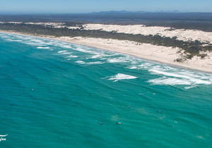 De Hoop Boasts Main Concentration of Whales in Recent Count