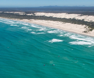 De Hoop Boasts Main Concentration of Whales in Recent Count