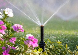 Happy Spring Day from Eco-Flo Irrigation!