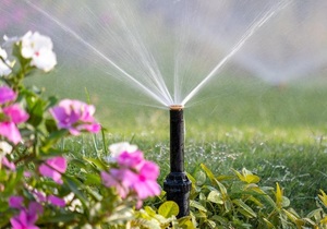 Happy Spring Day from Eco-Flo Irrigation!